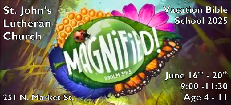 VBS Logo
